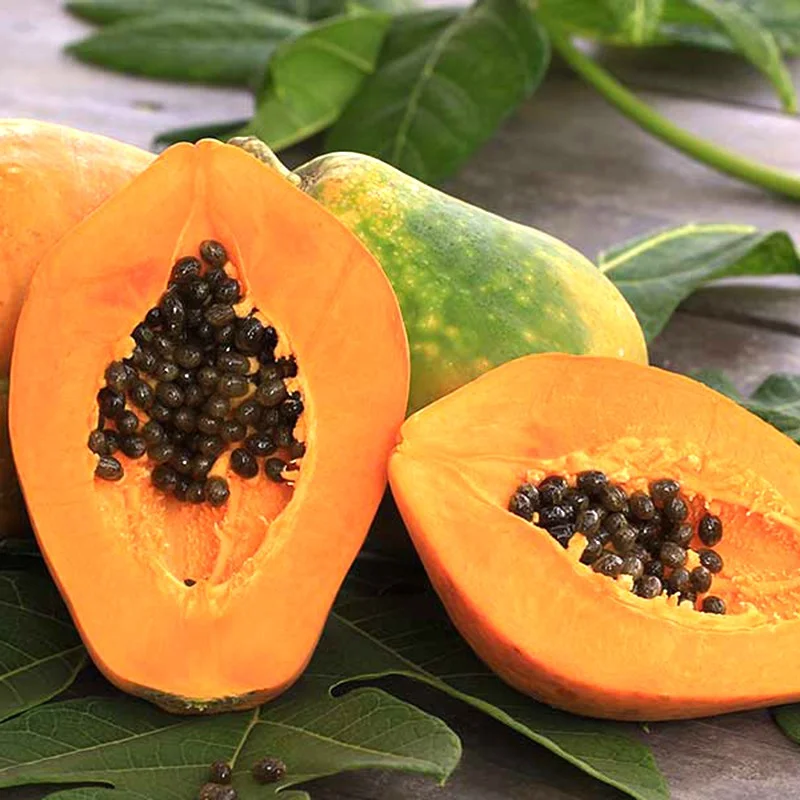 Đu đủ ruột vàng Long An