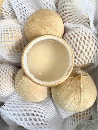 Dừa Xiêm Gọt Trọc