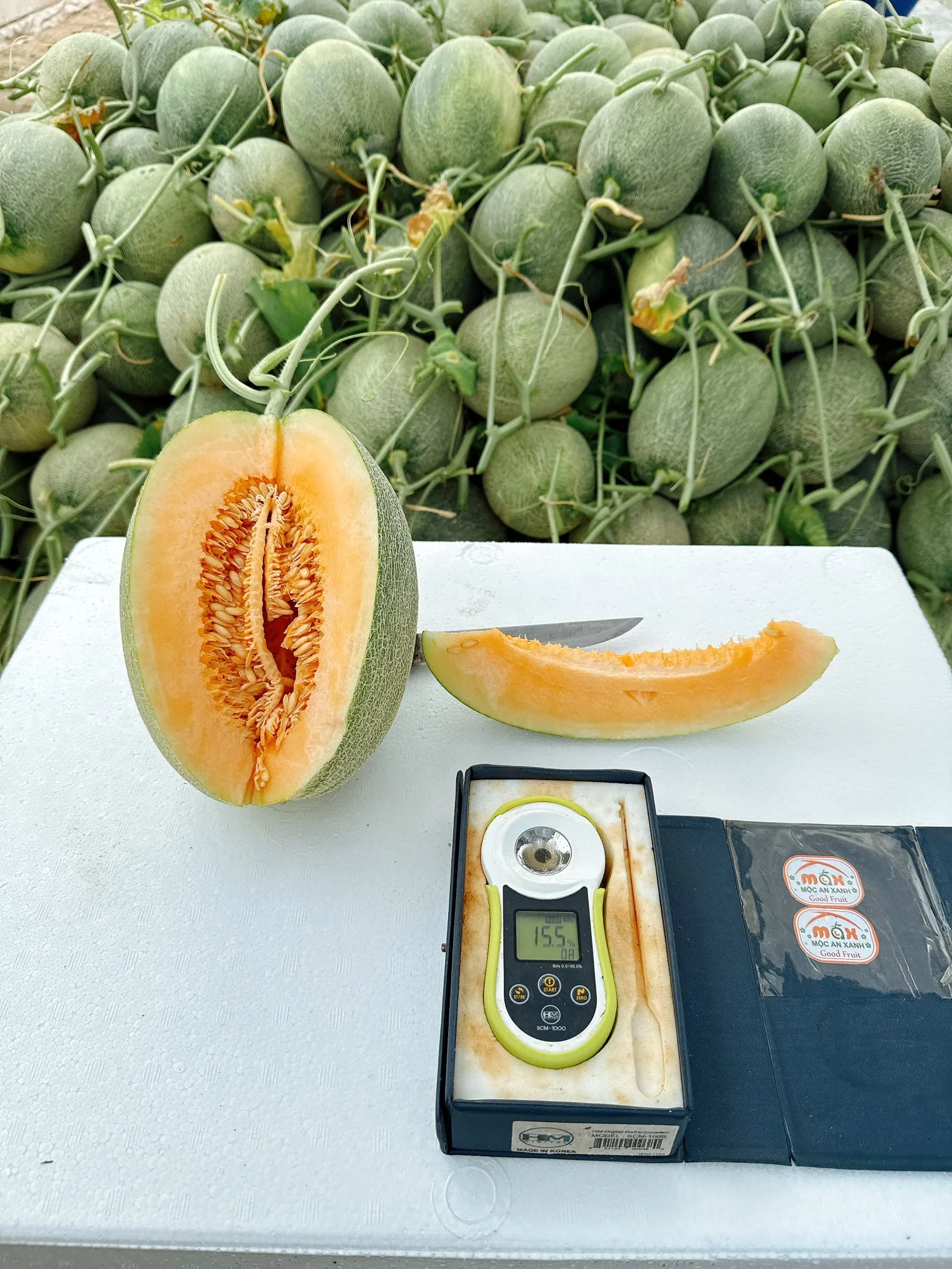 Dưa Lưới Hạ Uyển