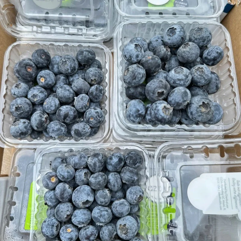 Việt Quất Peru OZblu 125g