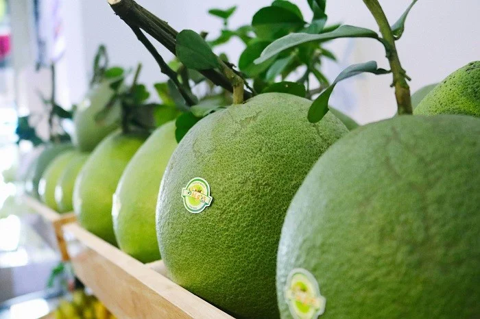 Bưởi Da Xanh Bến Tre
