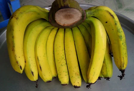 Chuối Laba Đà lạt