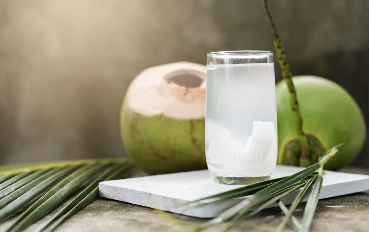 Dừa Xiêm Xanh Thái Lan