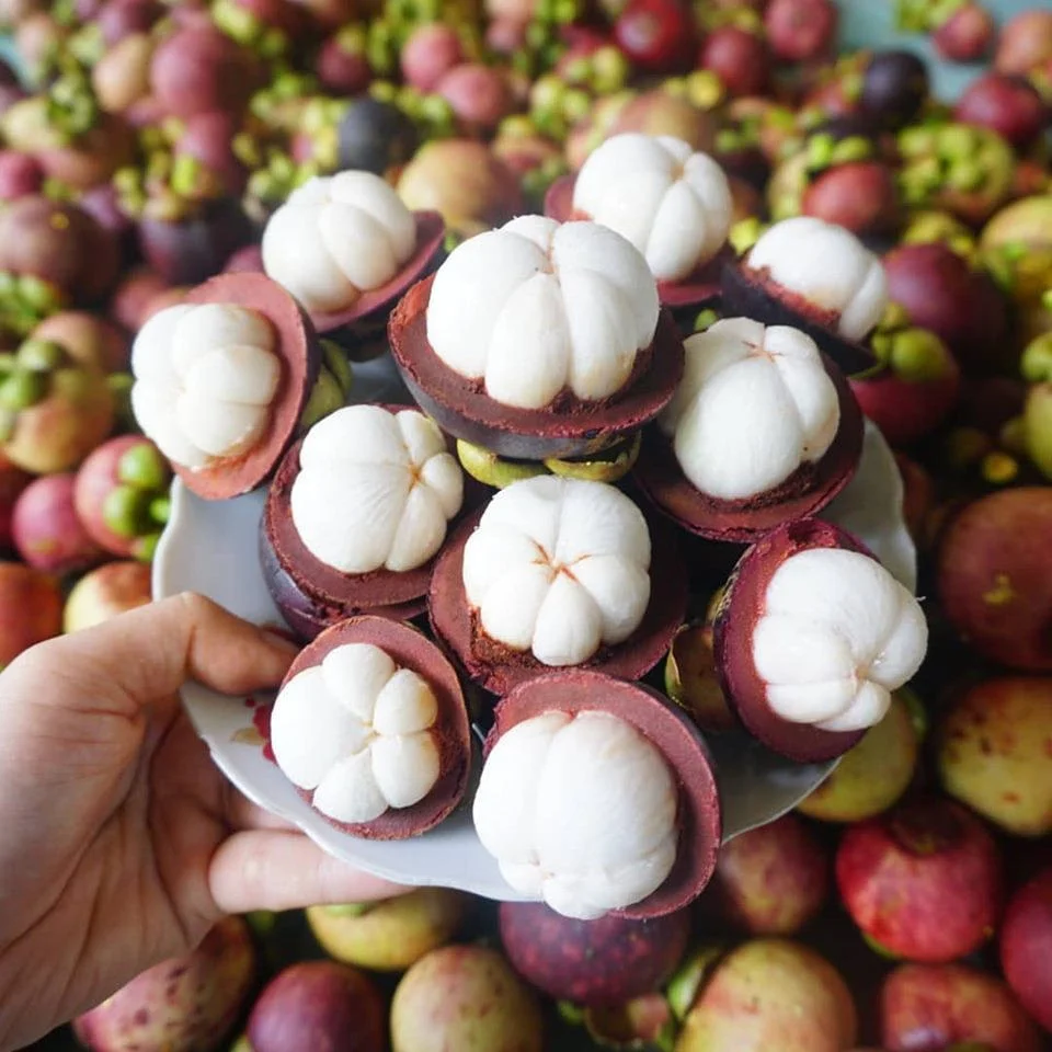 Măng Cụt