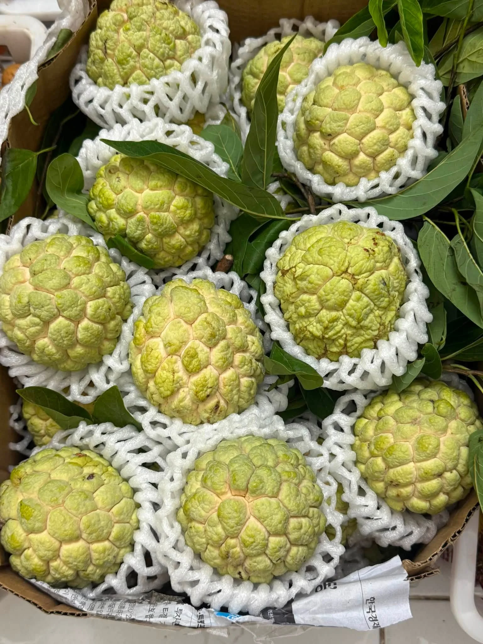 Mãng Cầu Na
