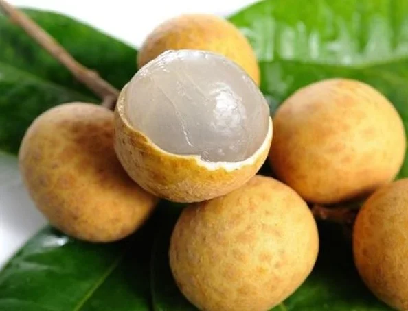 Nhãn Xuồng