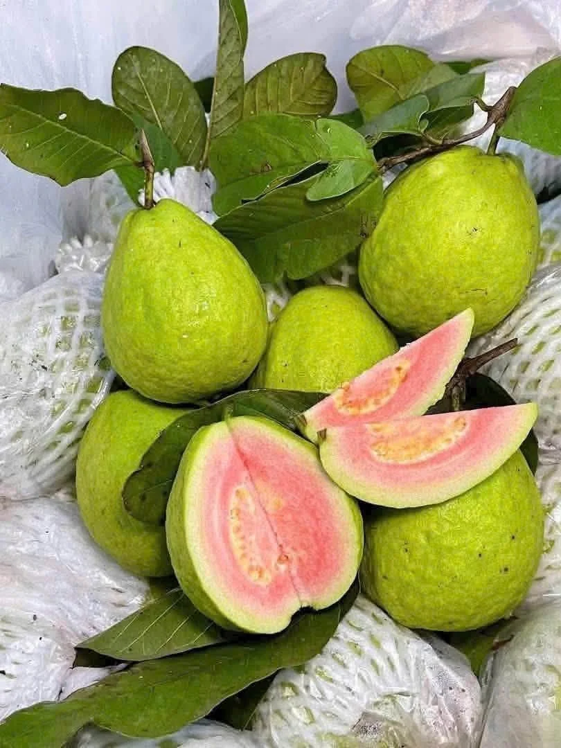 Giá Ổi Hôm Nay: Nữ Hoàng, Ruby, Lê, Không Hạt, 1kg Ổi Bao Nhiêu Calo