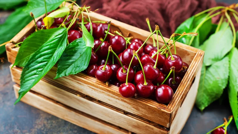Bảo Quản Cherry Tươi Đúng Cách – Giữ Nguyên Hương Vị Từ 7–30 Ngày