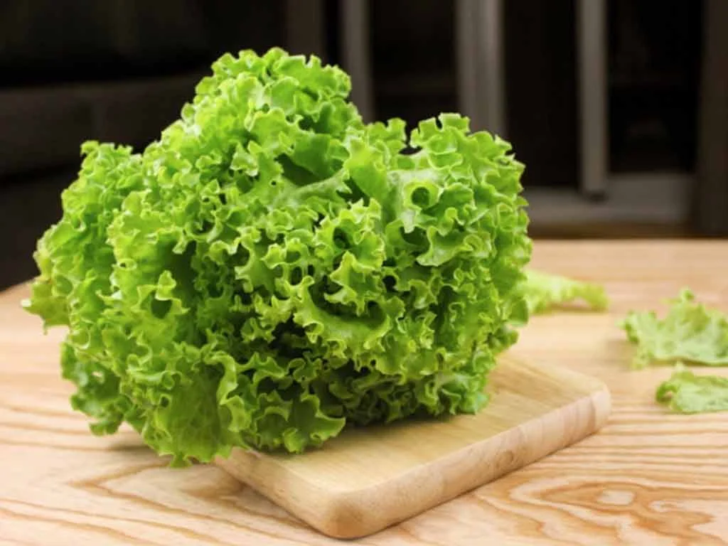 Salad Xà Lách Sồi Xanh Thanh Mát – Công Thức Đơn Giản, Ngon Đúng Điệu Tại Nhà