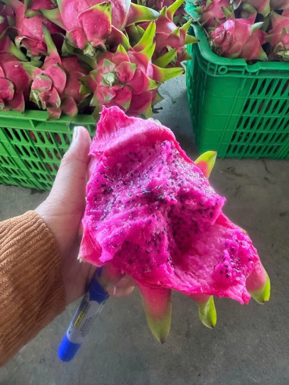 Giá Thanh Long Ruột Đỏ Hôm Nay 26/7/2026 – Bảng Giá Mới Nhất Tại Chợ, Siêu Thị & Online