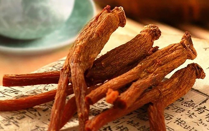 Sức Khỏe Sinh Sản Phụ Nữ & Thực Phẩm Tươi: Bí Quyết Dinh Dưỡng Vàng Từ Thiên Nhiên