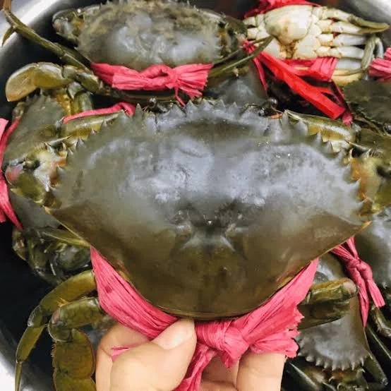 Cua Thịt Y5 (2 con/kg): Lợi Ích Sức Khỏe Tuyệt Vời & Giá Trị Dinh Dưỡng Không Thể Bỏ Qua