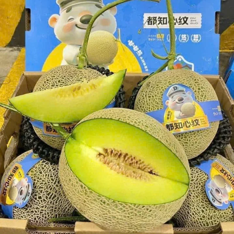 Đặc Sản Vùng Miền Việt Nam: Hành Trình Khám Phá Hương Vị Từ Bắc Chí Nam
