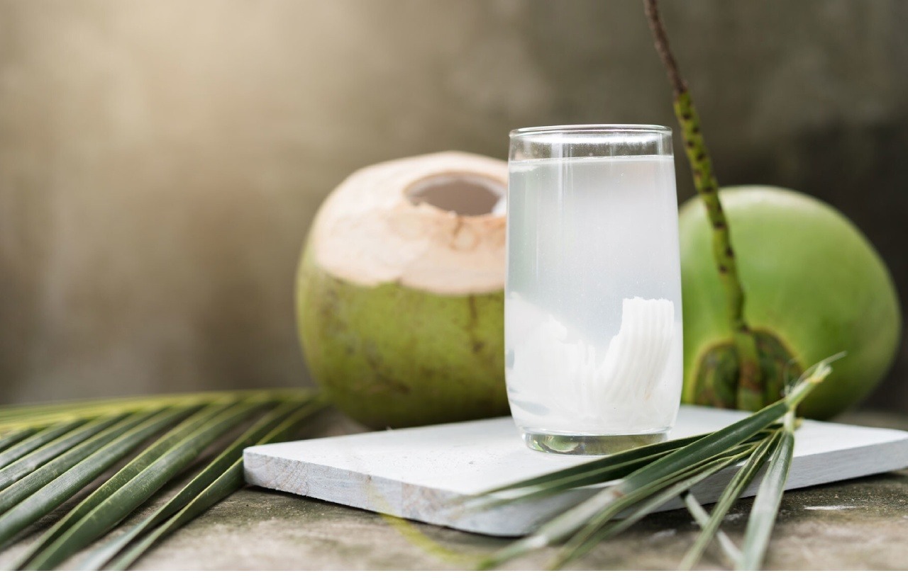 Sinh Tố Dừa Xiêm Xanh Thái Lan Thanh Mát – Công Thức Đơn Giản Tại Nhà