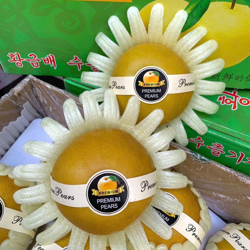 Kimchi Hàn Quốc: Cách Làm Kimchi Cải Thảo Chuẩn Vị & Lợi Ích Sức Khỏe Tuyệt Vời
