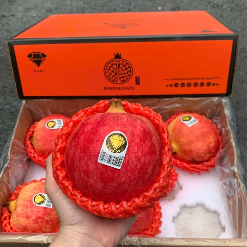 Lựu Ruby Sz7 – Trái Cây Nhập Khẩu Thơm Ngon, Bổ Dưỡng Tại Foody24h