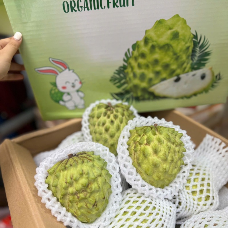 Dim Sum & Điểm Tâm Quảng Đông: Bí Quyết Thưởng Thức & Tự Làm Tại Nhà Chuẩn Vị