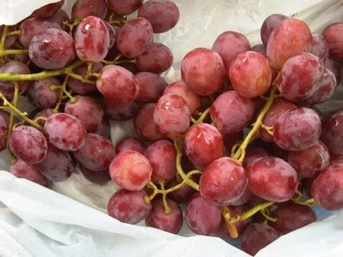 Nho Đỏ Chile Không Hạt: 7 Lợi Ích Sức Khỏe Vàng Bạn Không Nên Bỏ Qua