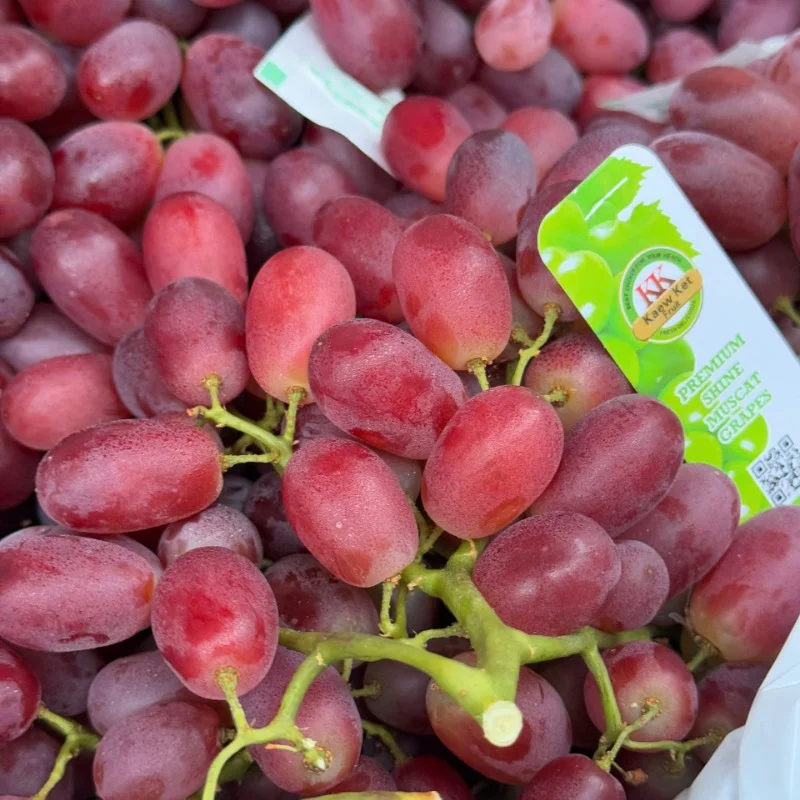 Nho Đỏ Crimson Úc: 7 Lợi Ích Sức Khỏe Vượt Trội Bạn Không Ngờ Tới