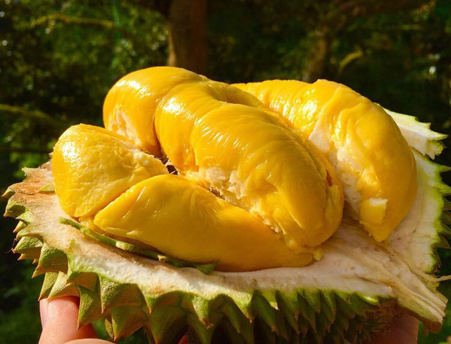 Dinh Dưỡng Bà Bầu & Ăn Gì Tốt Cho Trẻ Em: Bí Quyết Từ Thực Phẩm Tốt Cho Phụ Nữ
