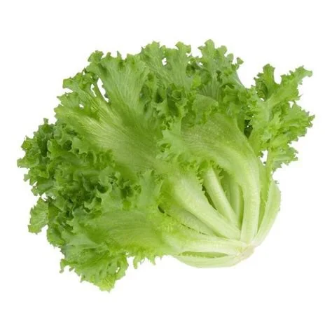Salad Xà Lách Thủy Tinh Thanh Mát – Công Thức Dễ Làm, Giàu Dinh Dưỡng Cho Cả Gia Đình