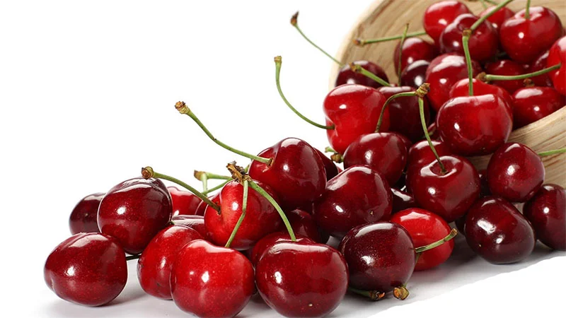 Cách bảo Quản Cherry Tươi Đúng Cách – Nhiệt Độ, Thời Gian và Mẹo hay Tại Nhà