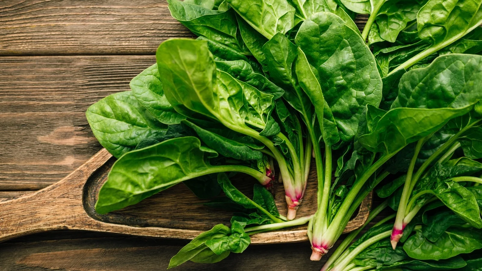 Cải Bó Xôi (Spinach) Đà Lạt Hôm Nay Bao Nhiêu? Sự Thật Về Sắt Và Huyền Thoại Popeye