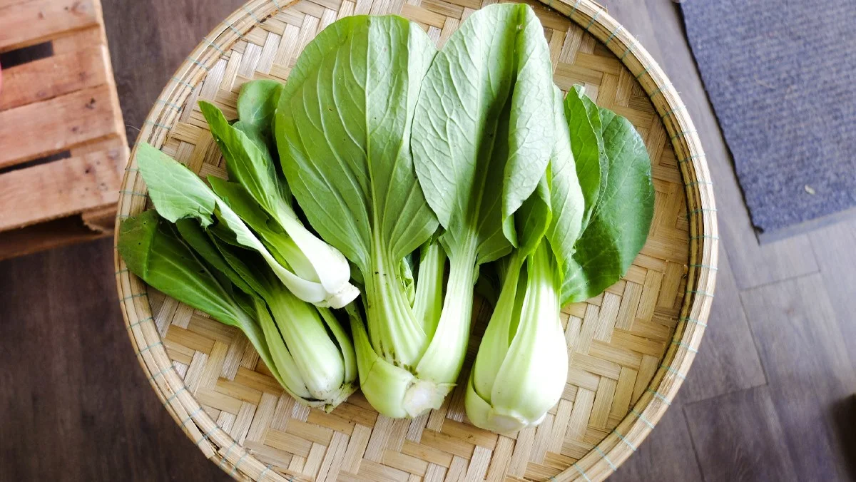 Cải Thìa Baby Xào Tỏi Thơm Ngon – Món Rau Thanh Đạm Chuẩn Vị Nhà Hàng