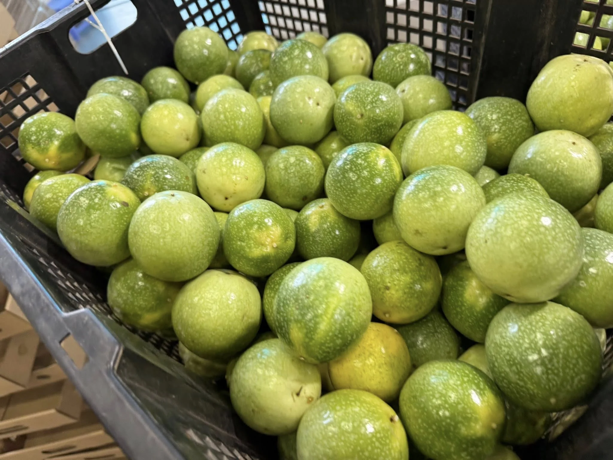Chanh Dây Passion Fruit: Giá Trị Dinh Dưỡng & 5 Lợi Ích Sức Khỏe Tuyệt Vời