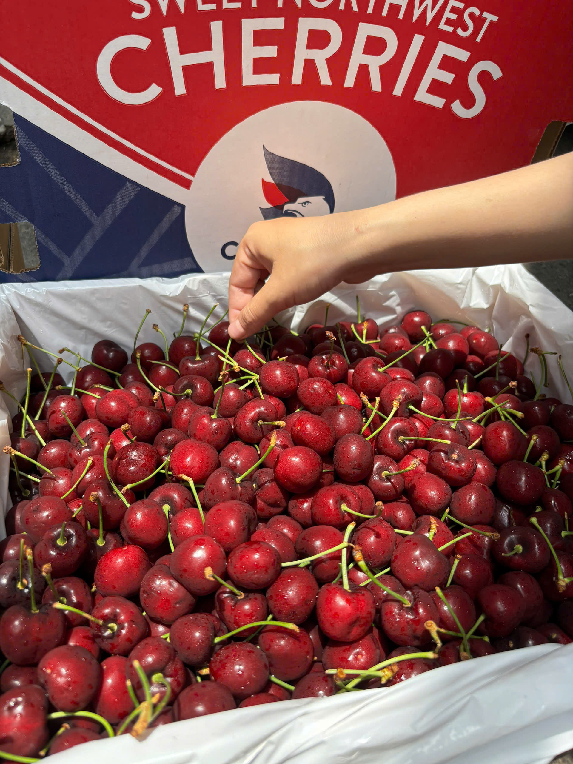 Cherry Nhập Khẩu: Giá Trị Dinh Dưỡng & 5 Lợi Ích Sức Khỏe Vàng Bạn Cần Biết