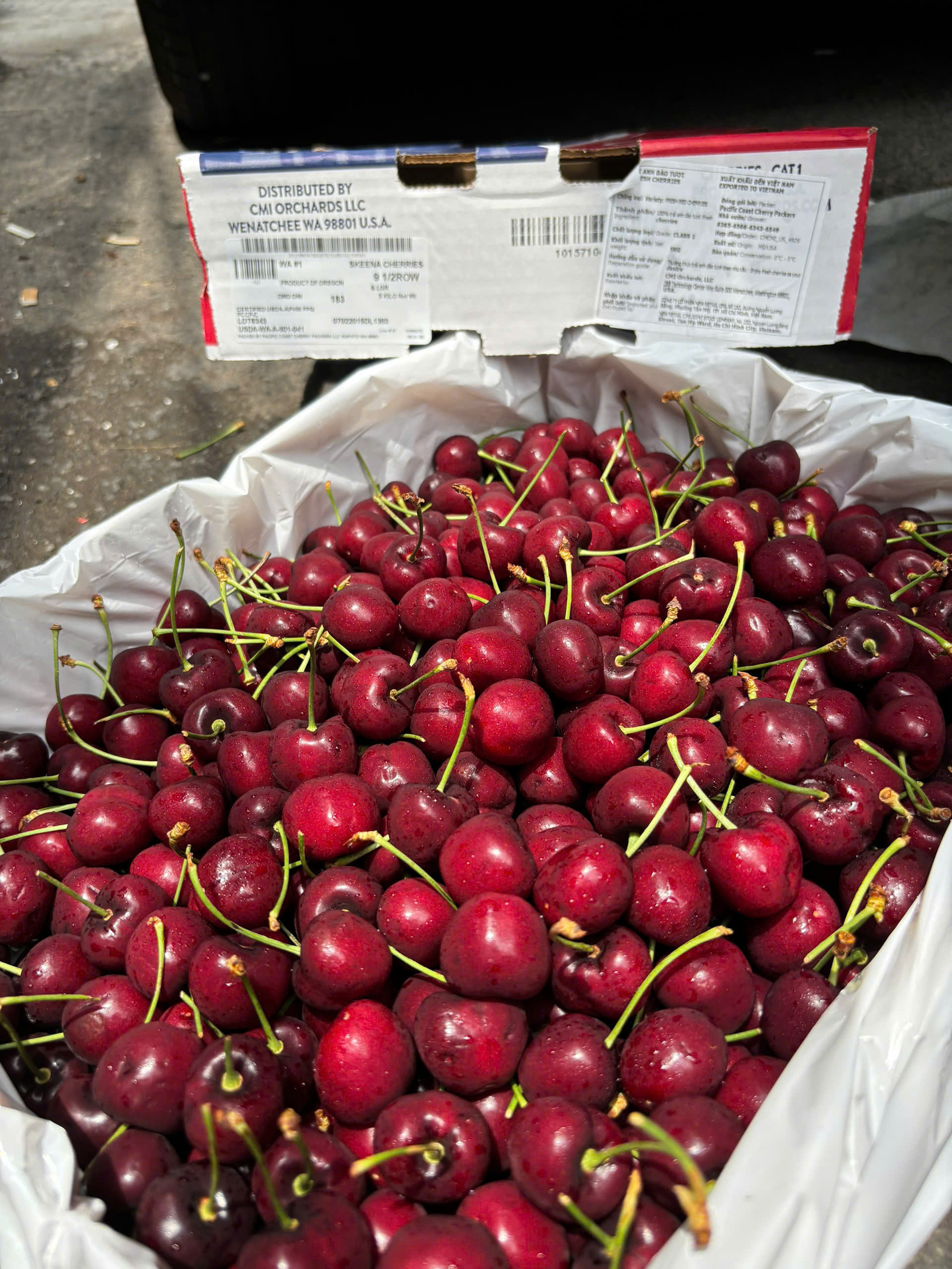 Giá Cherry Mỹ Tươi Hôm Nay 24/9/2026 – Bảng Giá Mới Nhất & Mẹo Mua Ngon