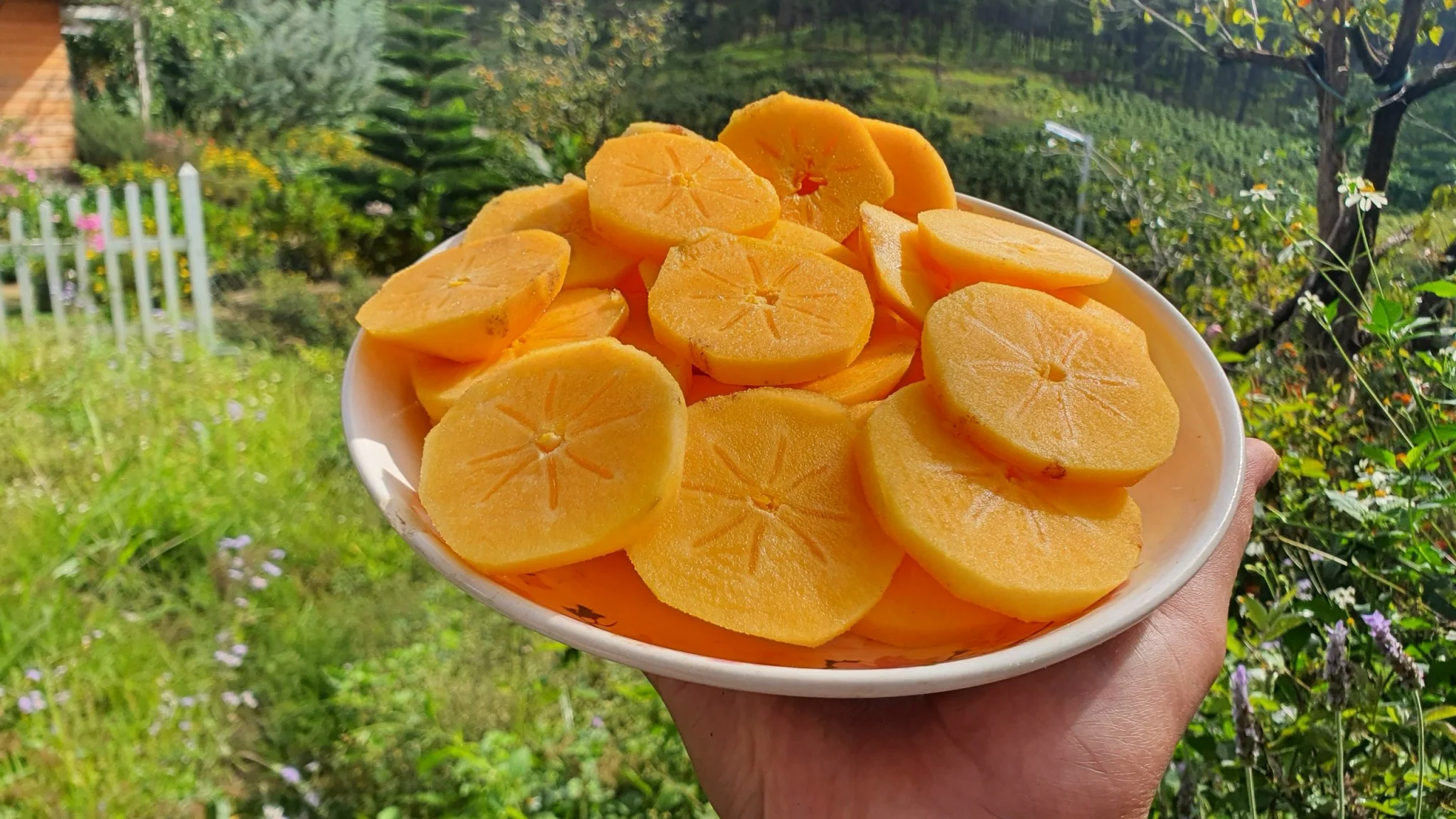 Hồng Chín Nên Đà Lạt – Đặc Sản Vùng Cao Nguyên Tươi Ngon, Giao Tận Nhà HCM