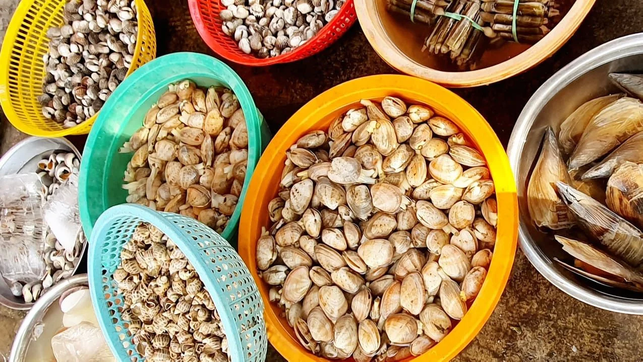 Giá Hải Sản Tươi Sống Hôm Nay – Bảng Giá Tôm Hùm, Cua Biển, Cá Ngừ, Mực, Nghêu, Hàu Mới Nhất 2026