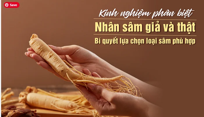 5 Cách Phân Biệt Sâm Hàn Quốc Thật Và Giả Không Phải Ai Cũng Biết