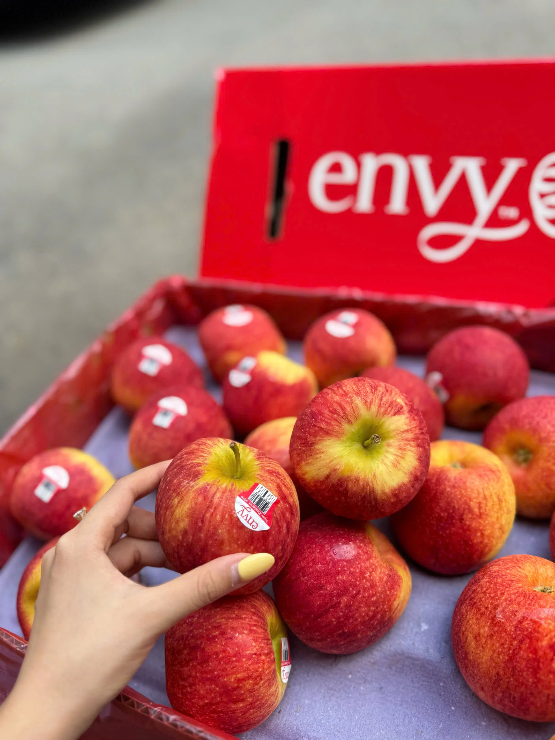 Giá Táo Mỹ Envy Hôm Nay 6/8/2026 – Bảng Giá Chi Tiết & Xu Hướng Thị Trường