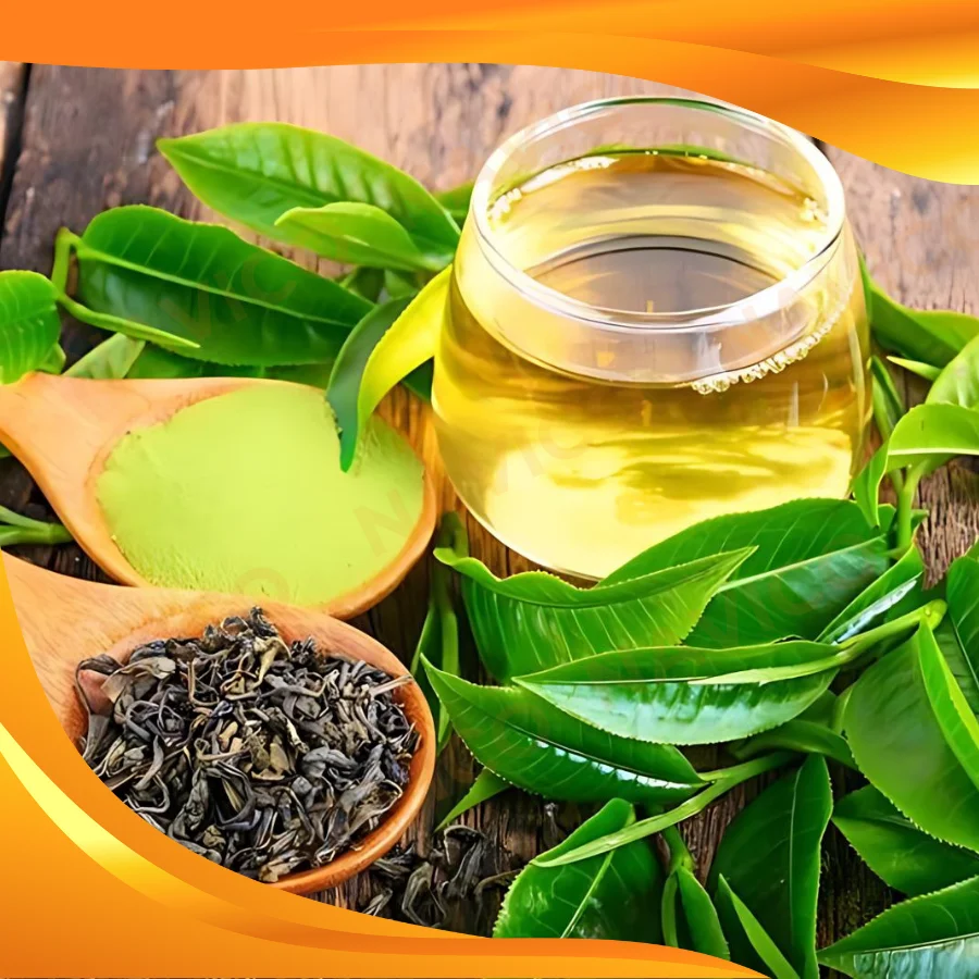 Trà Nõn Tôm Kết Hợp Trái Cây Tươi – Thức Uống Thanh Mát Độc Đáo Cho Mùa Hè