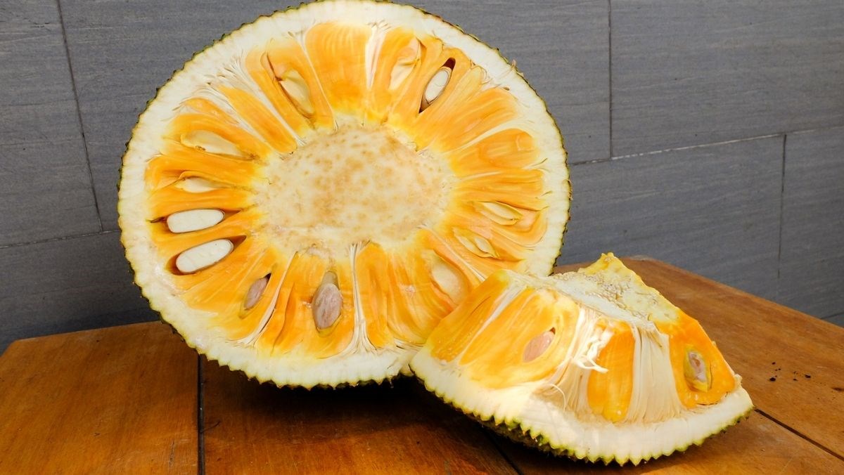Bảo Quản Mít Đúng Cách: Mít Chín Để Được Bao Lâu & Cách Giữ Múi Mít Tươi Ngon Lâu Nhất