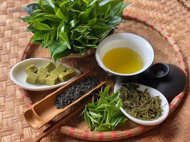 Phân Biệt Các Loại Trà Thái Nguyên — Loại Nào Ngon Nhất? [Cập Nhật 2026]
