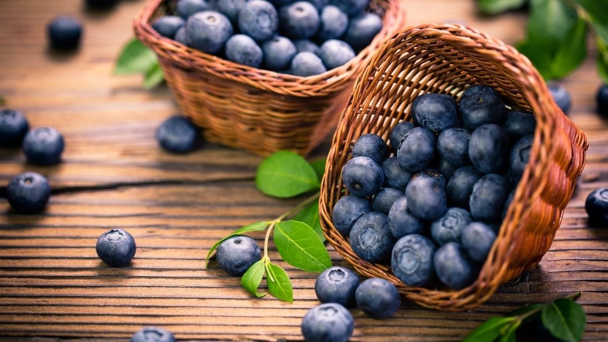 Bảo Quản Việt Quất Đúng Cách – Blueberry Tươi Để Được Bao Lâu & Mẹo Giữ Tươi Lâu
