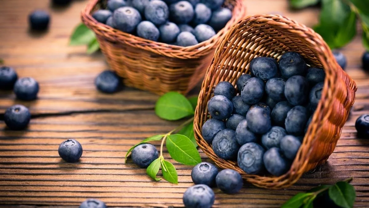Bảo Quản Việt Quất Đúng Cách – Blueberry Tươi Để Được Bao Lâu & Mẹo Giữ Tươi Lâu