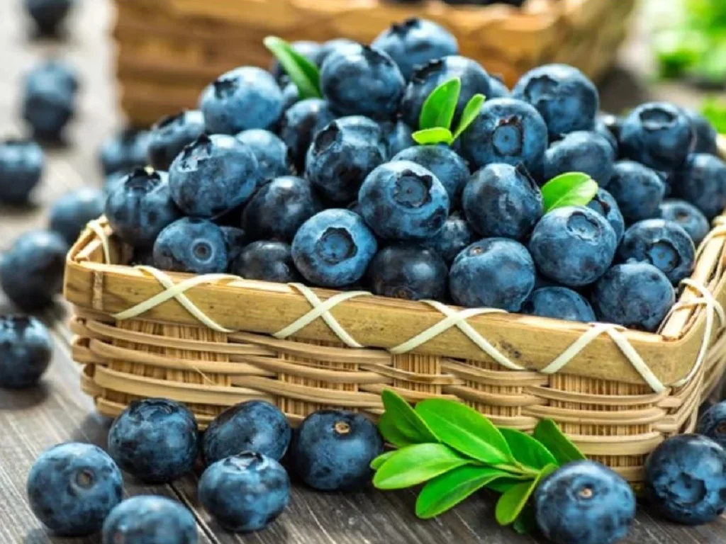 Bảo Quản Việt Quất Đúng Cách: Giữ Blueberry Tươi Ngon 2-4 Tuần Tại Nhà