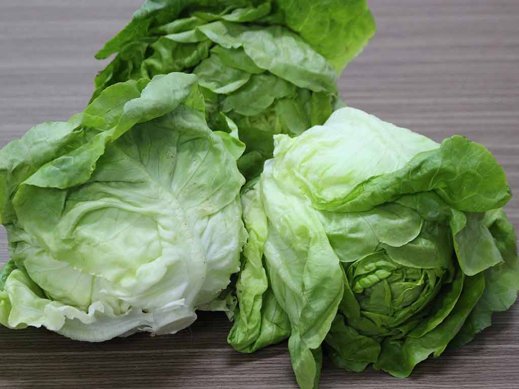 Xà Lách Đà Lạt — Rau Sạch Vùng Cao Nguyên, Dinh Dưỡng & Tươi Ngon Mỗi Ngày