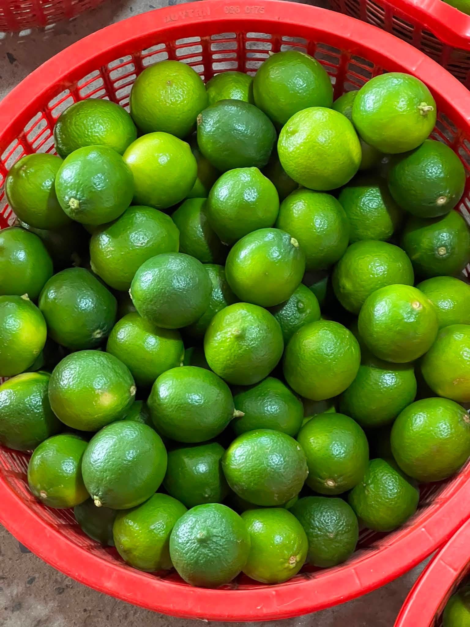 giá chanh không hạt hôm nay