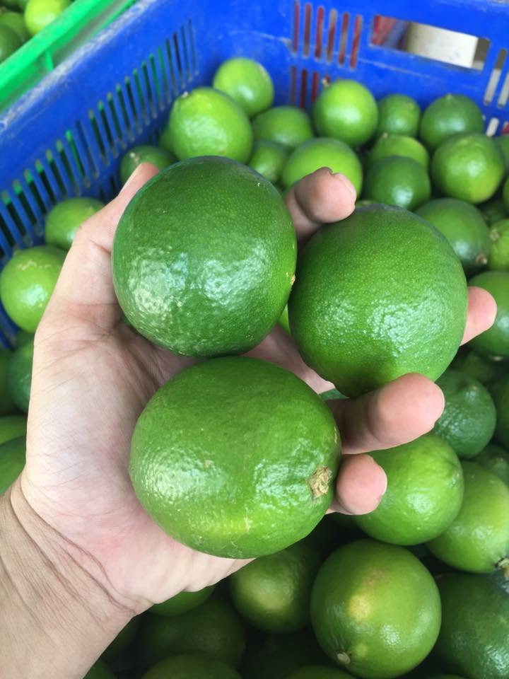 giá chanh không hạt hôm nay