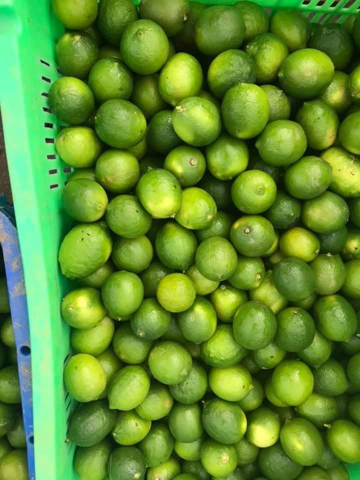giá chanh không hạt hôm nay