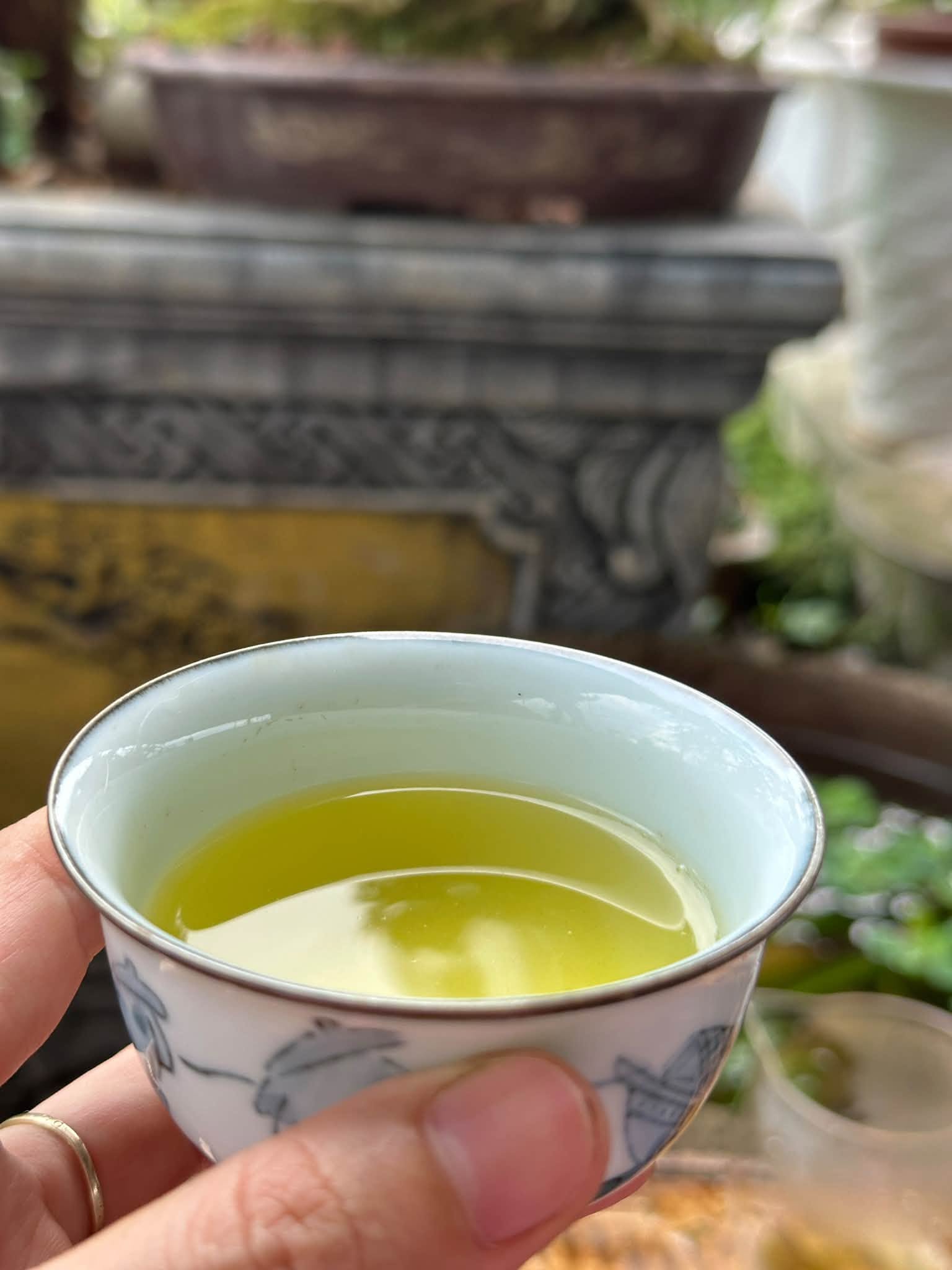 trà tân cương