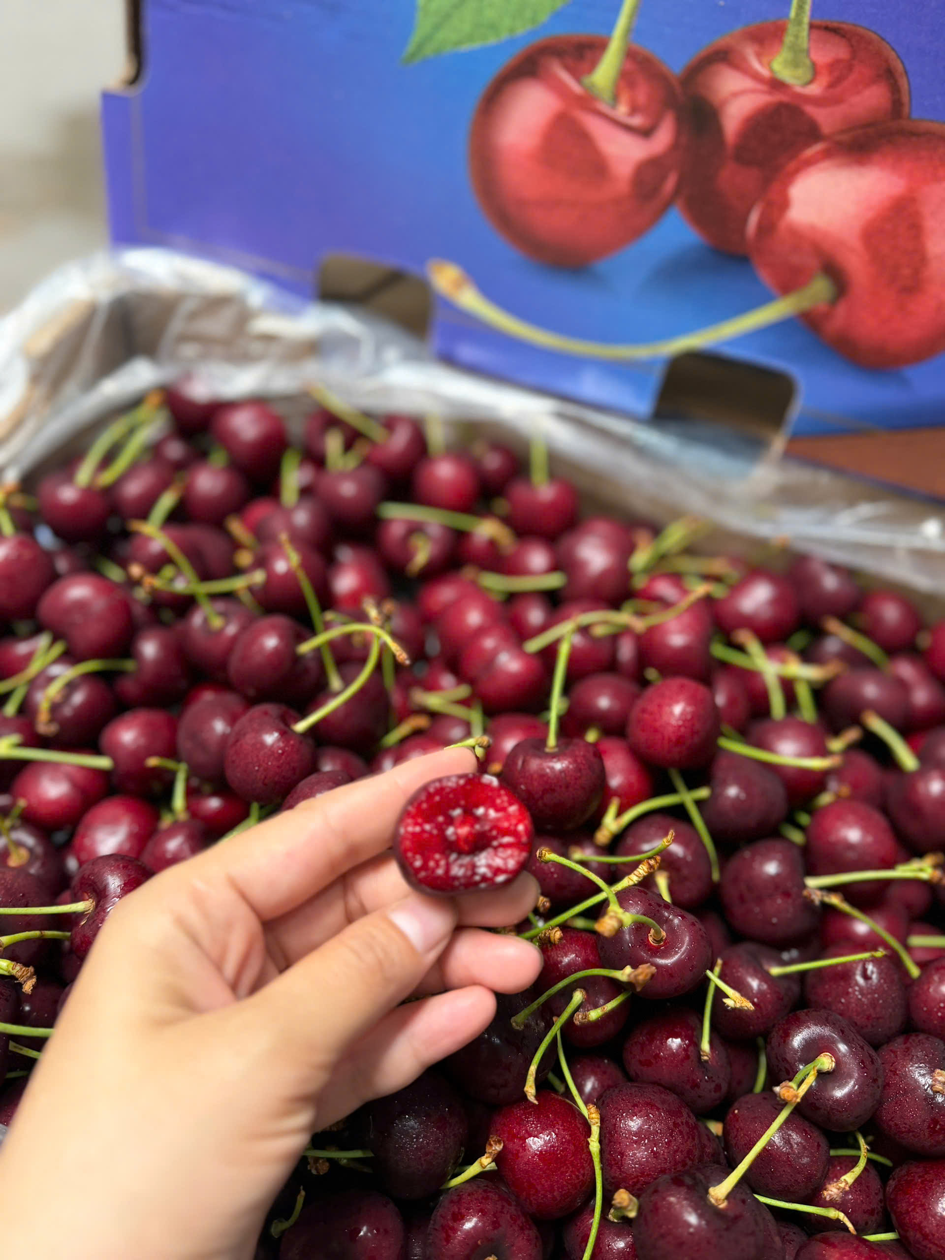 cherry canada