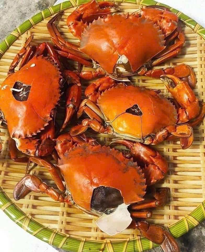 cua ca mau