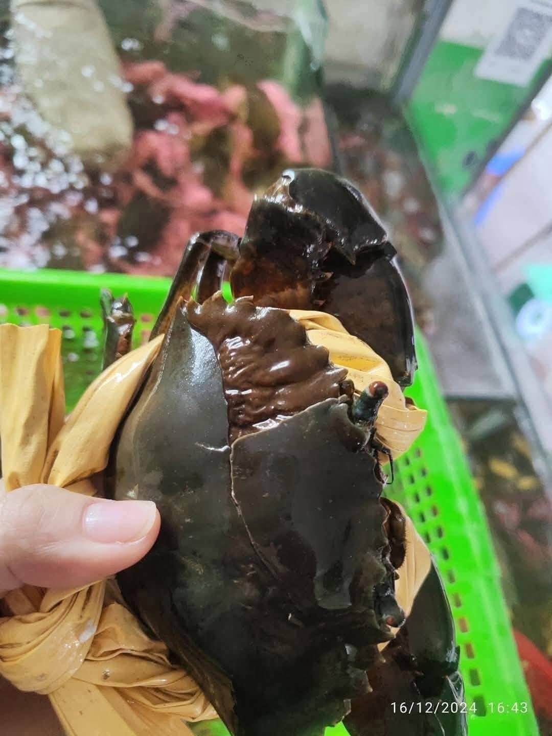 cua biển