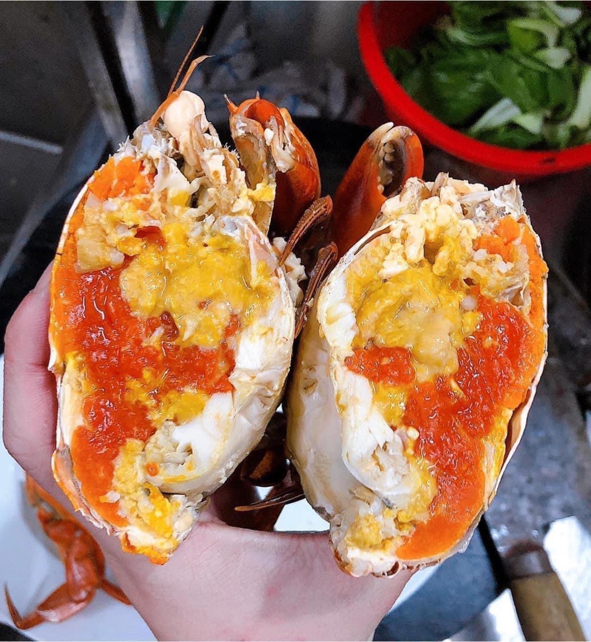 cua ca mau